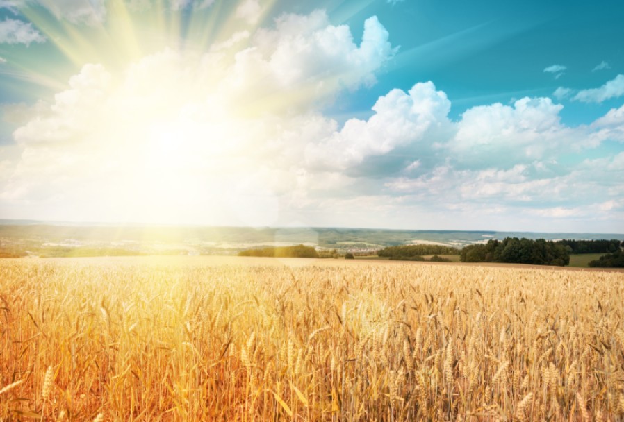 聖經中的婦女 (一)