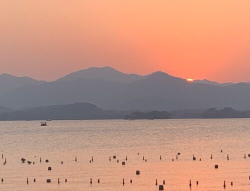 8月24日