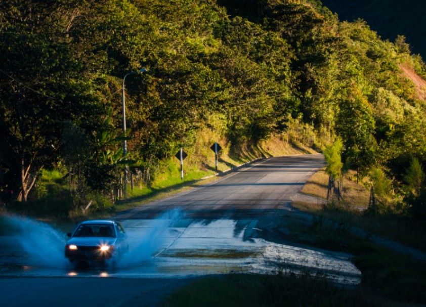 指示我生命的道路