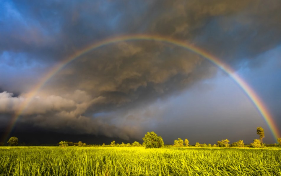 飛砂風中轉 IV 哪怕狂風暴雨