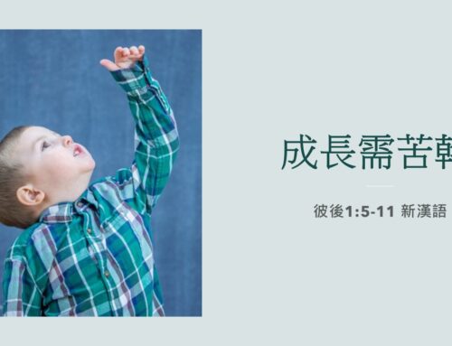 靈聽3分鐘-成長需苦幹