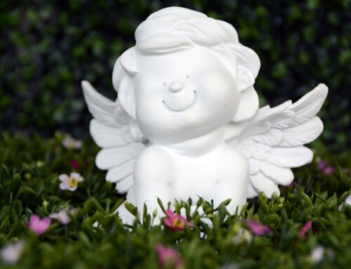 你今日做咗天使未呀？