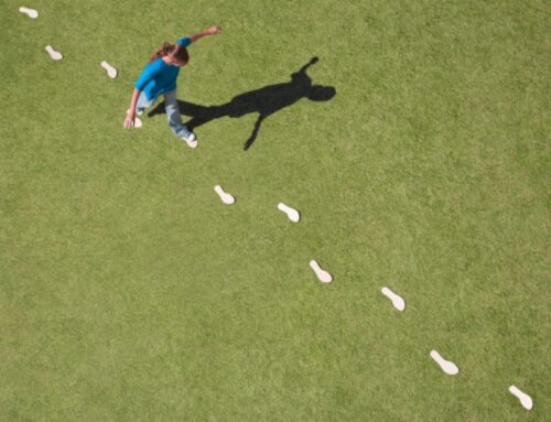 神的安排 人的跟從