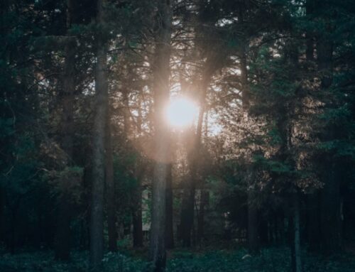 從神缺席到神同在