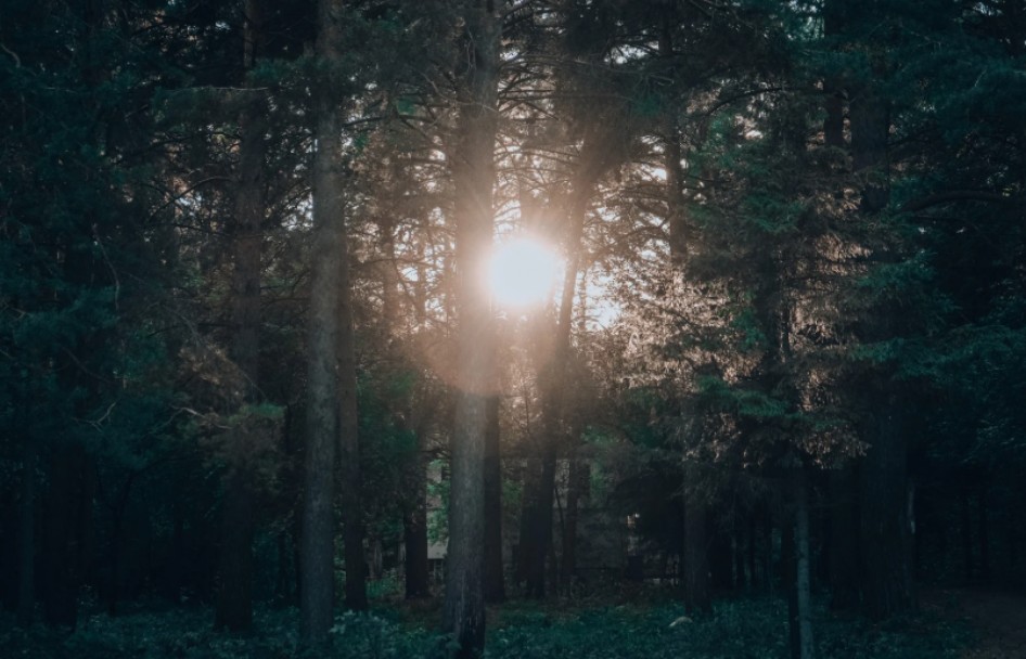 從神缺席到神同在