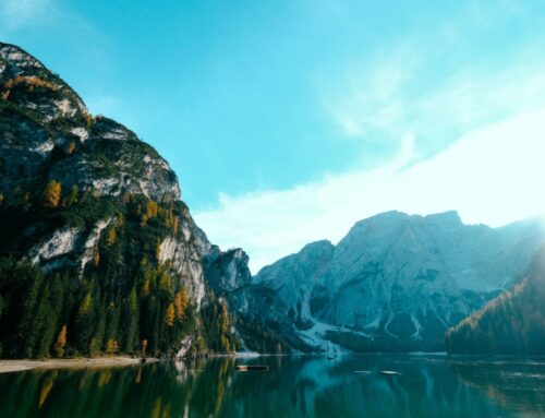 保護你的是耶和華