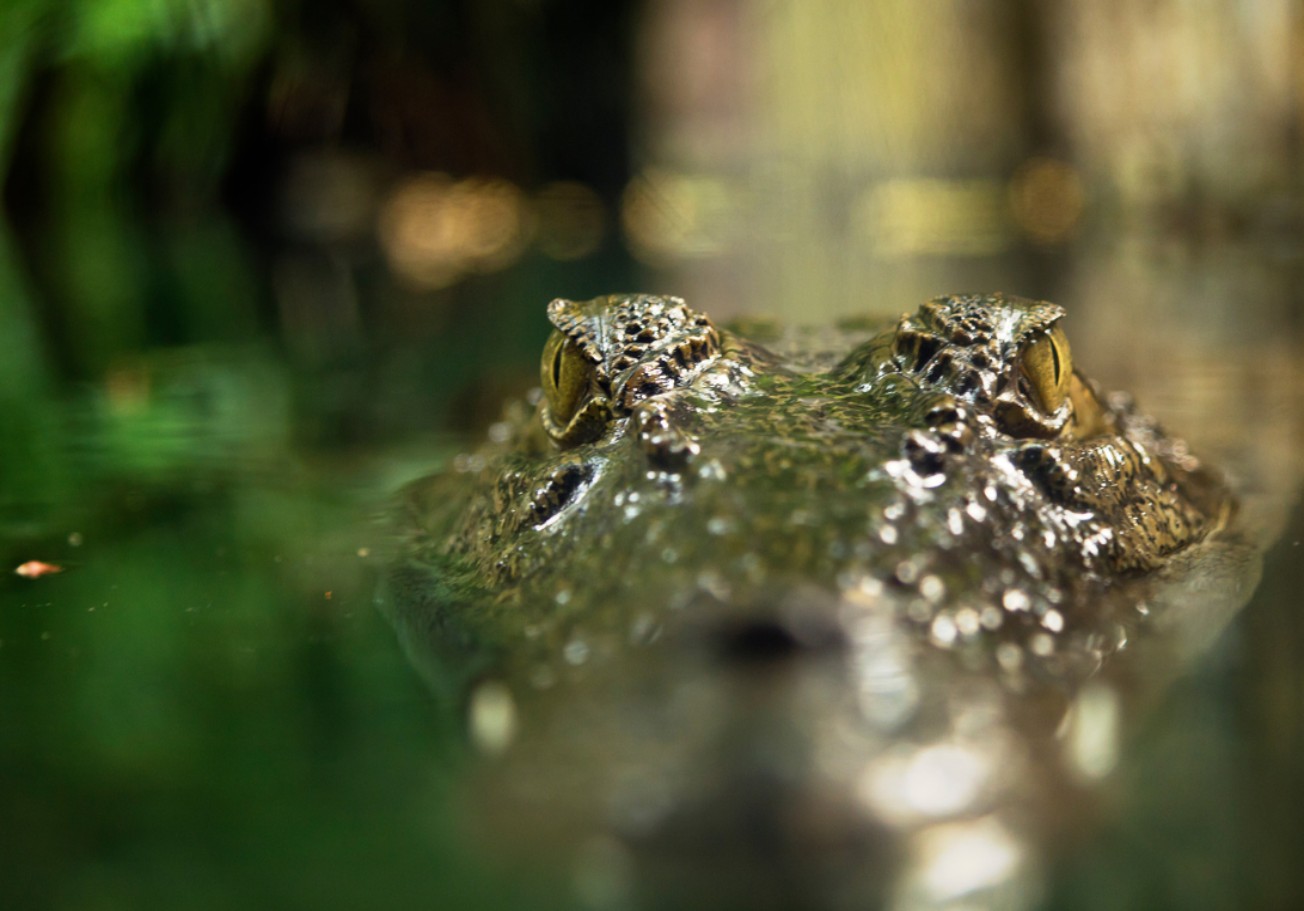 自知而後知上主