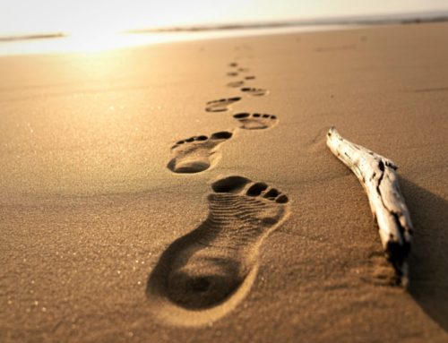 服侍之先是跟從