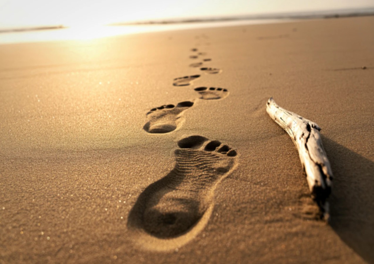 服侍之先是跟從