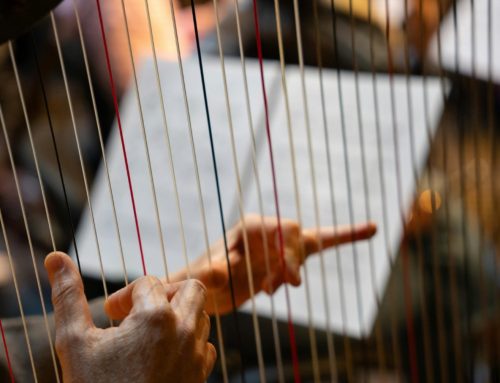 義人及正直人的讚美