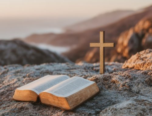 真認識帶來真改變