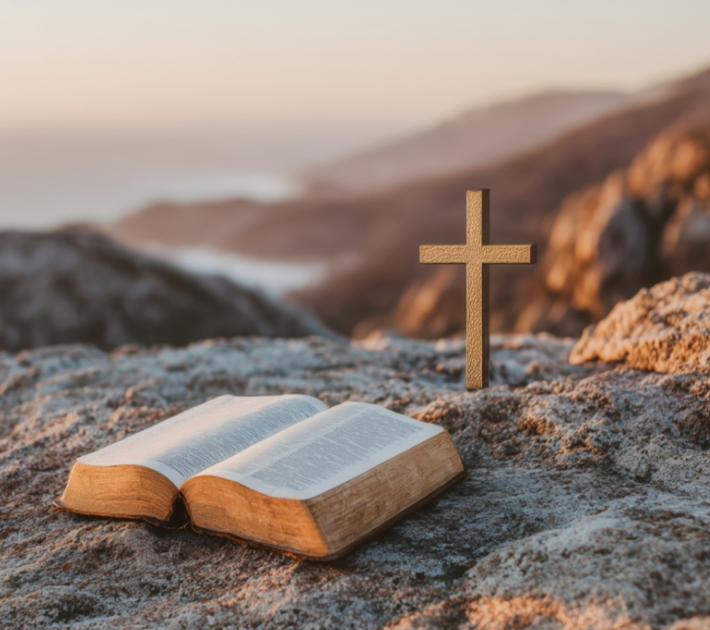 真認識帶來真改變