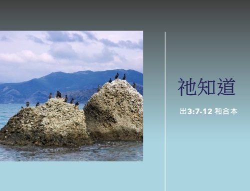 靈聽3分鐘-祂知道