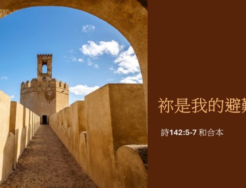 靈聽3分鐘-祢是我的避難所