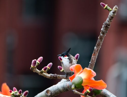 5月25日