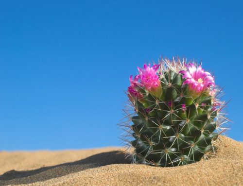 6月10日