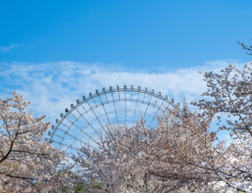 7月13日