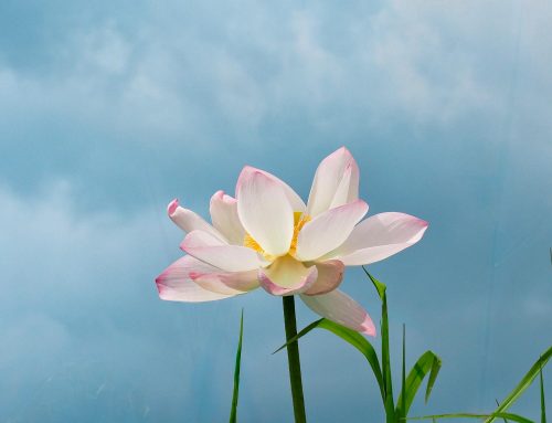 8月3日