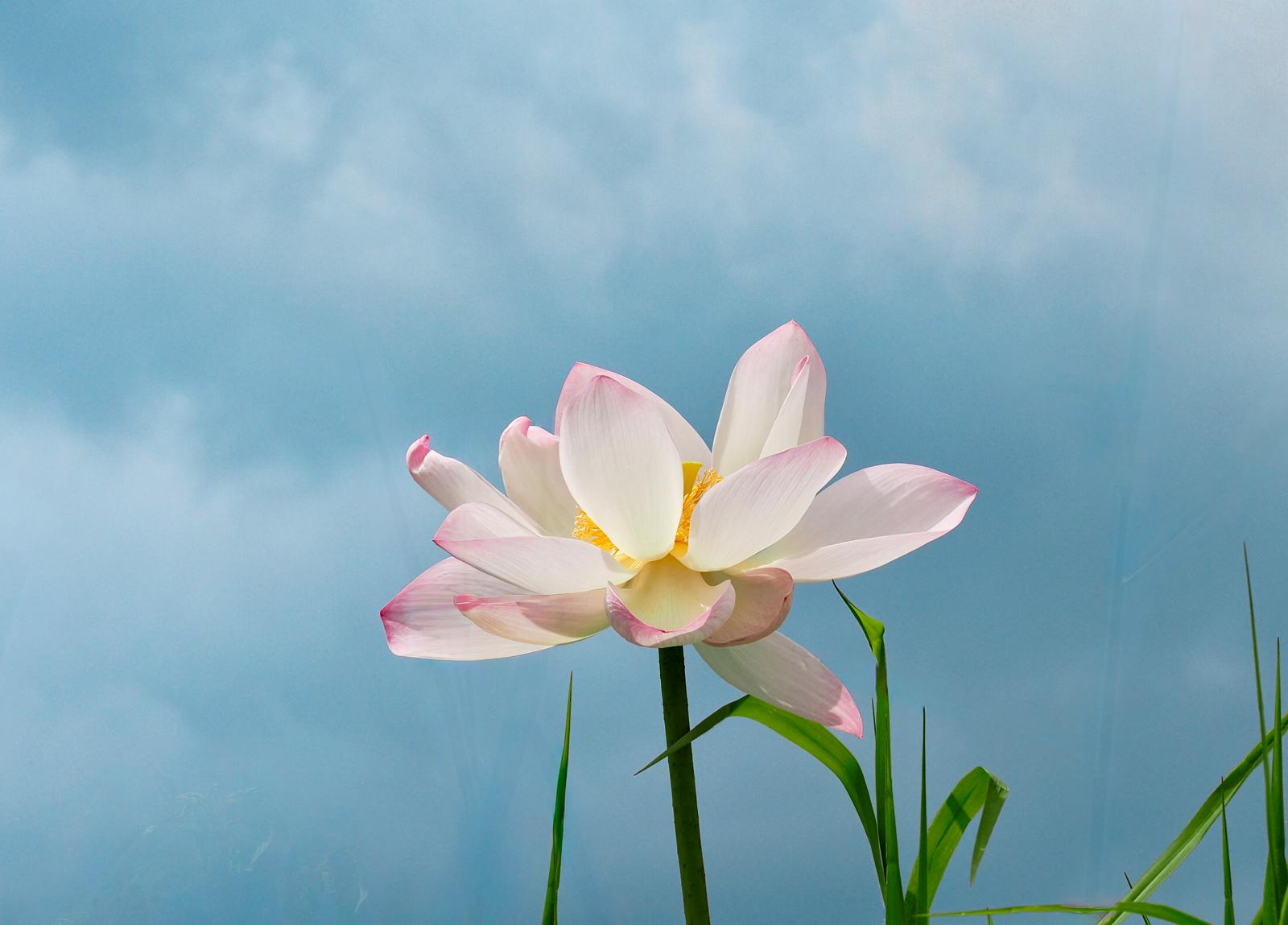 8月3日