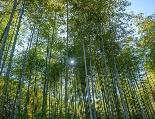 8月30日