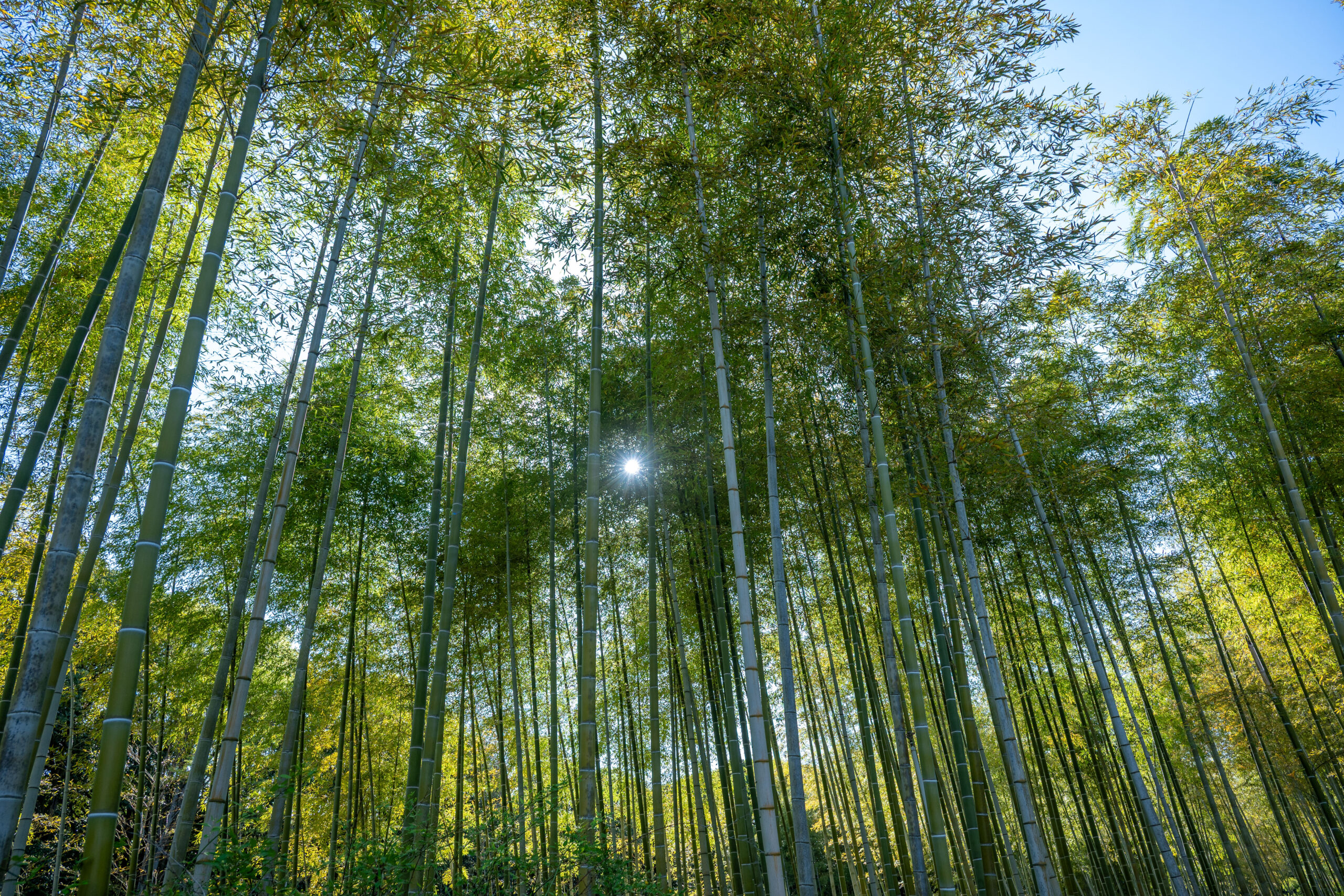 8月30日