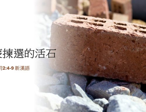 靈聽3分鐘-蒙揀選的活石