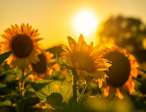 9月30日