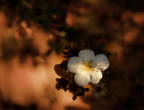 10月17日