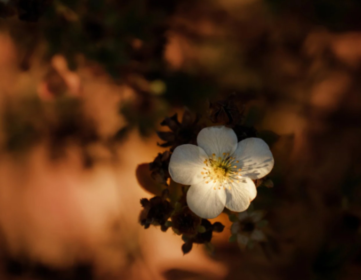 10月17日