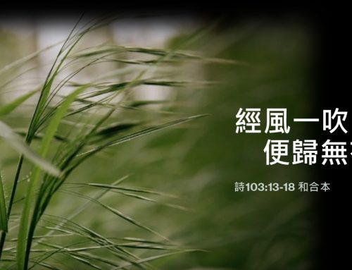 靈聽3分鐘-經風一吹便歸無有